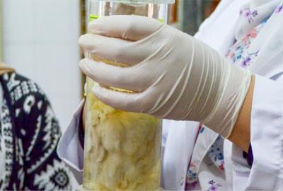  Pathology department