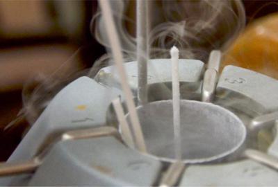  Theriogenology Department