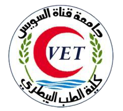 الرئيسية